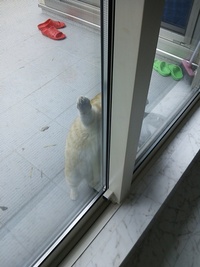 日曜日… 2012/04/23 21:25:15