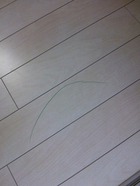 やられたー(*ToT) 2012/04/25 20:49:09