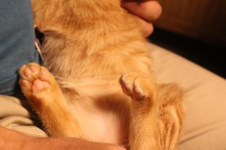真夏・・・もっと暑くなるのかな？