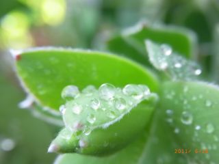 涼・・・どこに求める。