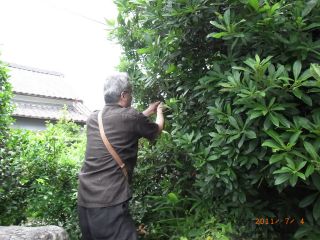 古事記の先生へ。