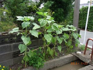 今日この頃・・・その５