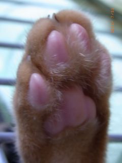 今日この頃・・・その８