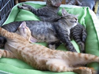 今日この頃・・・その８