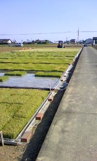 すごいかぜ