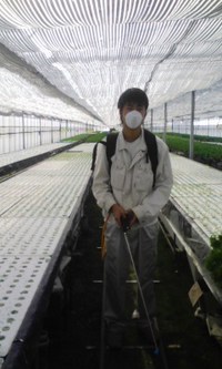 新助っ人 2008/11/26 17:12:21