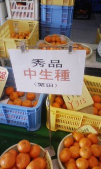 おいし〜い 2009/01/07 15:47:52
