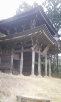 光明山再訪 2009/01/18 22:56:40