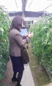 取材攻勢 2009/01/21 17:27:19