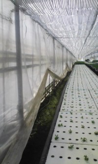 スカートめくり 2009/01/23 15:24:19