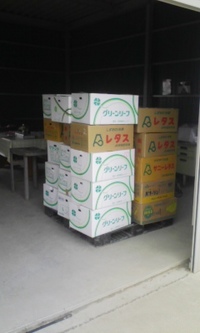 新規受注 2009/02/09 12:57:47