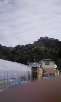 風が吹けば… 2009/02/16 20:54:04
