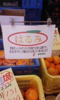 あんこツハキ 2009/02/28 21:52:08