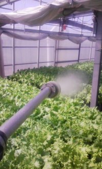 この一番 2009/03/15 17:42:02