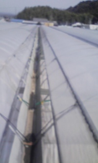 補修点検 2009/03/18 23:45:15