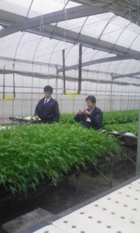 千客万来 2009/03/25 17:12:12