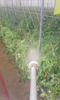 スタミナ補給 2009/04/12 14:06:30