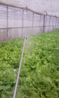 暑さ対策 2009/04/13 22:52:24