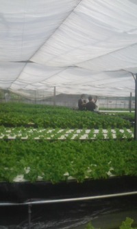 千客万来 2009/05/15 14:15:11