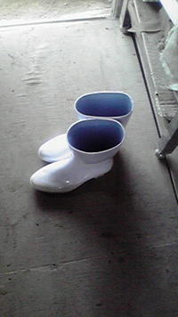 これでドナイだ!! 2009/06/10 11:38:08