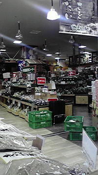 今日から本番 2009/06/25 13:16:39