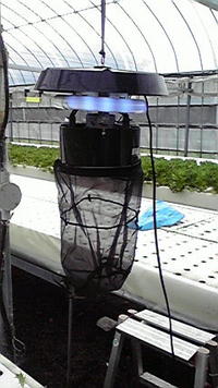 キンチョーの夏 2009/07/09 13:50:16