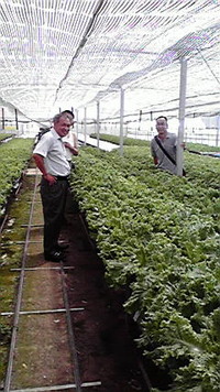 新潟県から 2009/07/15 22:06:20
