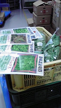 スタンバイ 2009/07/24 23:11:55