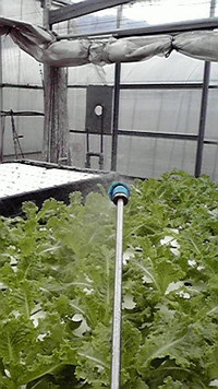 チャット 2009/07/29 22:59:40
