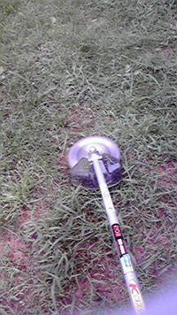 草刈り 2009/08/02 22:10:20