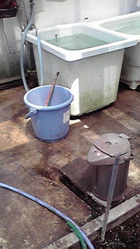 じとっと暑い日 2009/08/14 21:57:26