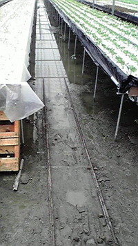 床下浸水 2009/08/10 18:58:58
