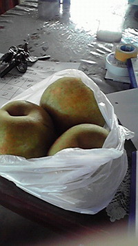 役得 2009/08/17 17:35:57