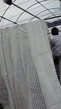 新装オープン 2009/09/18 18:20:42