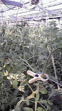 ひたすら… 2009/09/25 22:10:51
