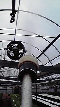 天に向かって撃て 2009/09/28 20:15:40