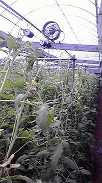 雨ばーっか 2009/10/06 17:33:57