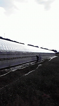 ヤットコさ!! 2009/10/12 21:39:10