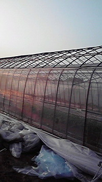 ラストワン 2009/10/14 21:23:26