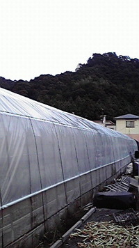 ようやく完成 2009/10/15 20:29:55
