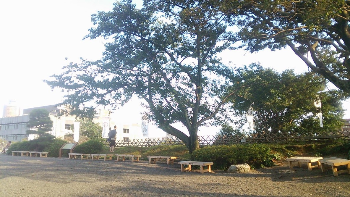 浜松東照宮ってパワースポットらしいのですが・・・？