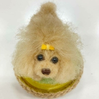 羊毛フェルト、生徒さん初めて作品 2020/12/20 15:09:49