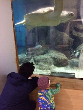 つれつれ日記『名古屋港水族館へ行ってきました♪』