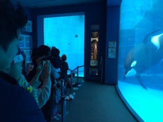 つれつれ日記『名古屋港水族館へ行ってきました♪』