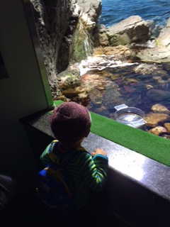 つれつれ日記『名古屋港水族館へ行ってきました♪』