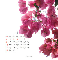 5月