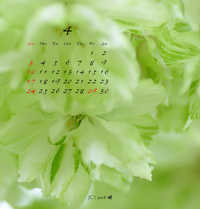 4月