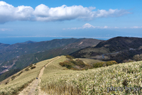 達磨山　　その2