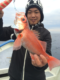 初釣り  赤ムツ 2015/01/14 18:29:32
