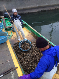浜名湖牡蠣 2013/12/27 18:56:40